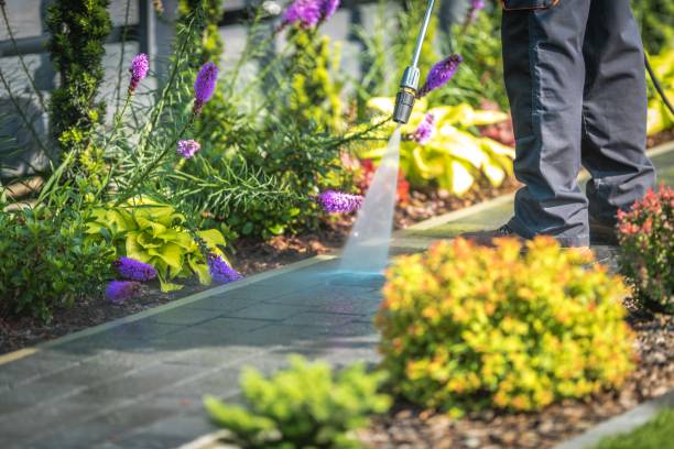 Best Gutter Cleaning  in Fort Mckinley, OH